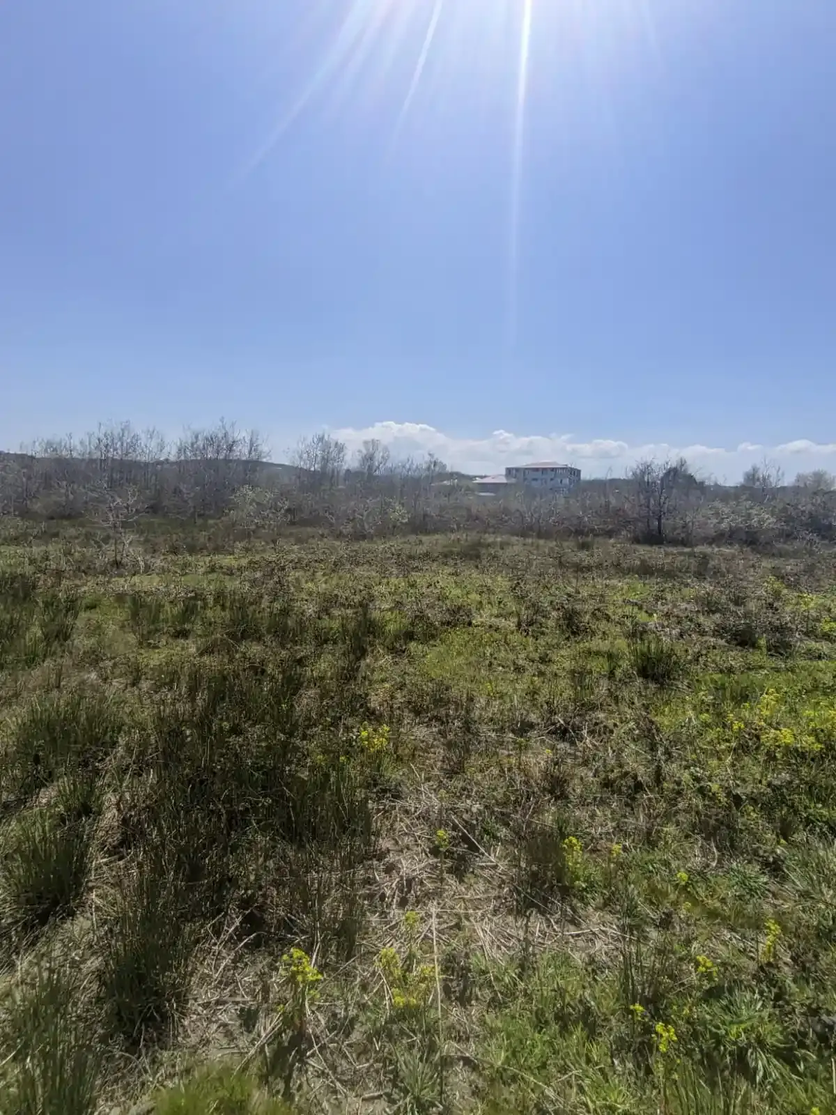 Kocaali Alandere’de 3 Kat Konut İmarlı, 348 m² Satılık Parsel - Görsel 5