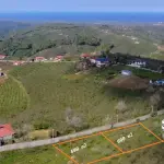 Sakarya Kocaali Kirazlı'da Toplam 3.096 m² Müstakil Tapulu Satılık Arsalar