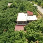 Sakarya Kocaali Bezirgan'da Asfalt Cepheli, Evli 7.600 m² Satılık Fındık Bahçesi