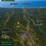 Sakarya Kocaali Gümüşoluk'ta İstanbul Takaslı, 11.250 m² Mahsullü Satılık Fındık Bahçesi