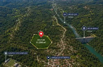 Sakarya Kocaali Gümüşoluk'ta İstanbul Takaslı, 11.250 m² Mahsullü Satılık Fındık Bahçesi