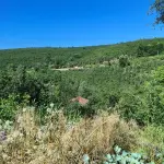 Sakarya Kocaali Hızar'da Çarşıya Yürüme Mesafesinde 2.380 m² Satılık Arsa
