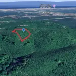 Kocaali Karşı Mahalle'de 10.800 m² Geniş Potansiyelli Fındık Bahçesi