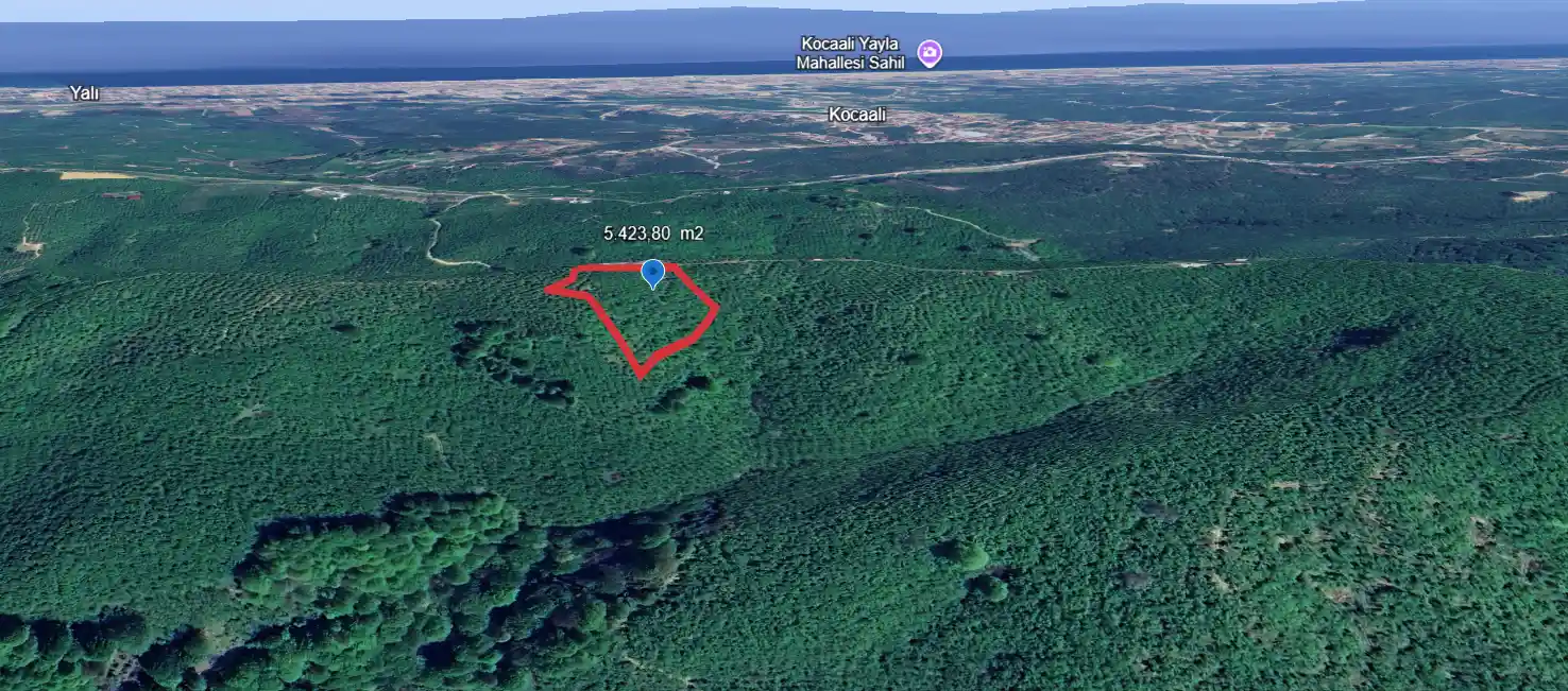 Kocaali Karşı Mahalle'de 10.800 m² Geniş Potansiyelli Fındık Bahçesi - Görsel 1