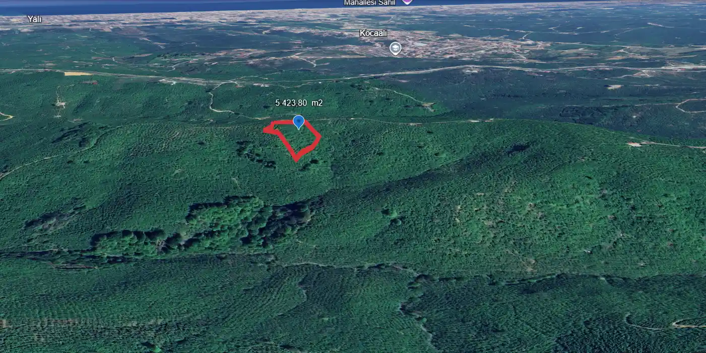 Kocaali Karşı Mahalle'de 10.800 m² Geniş Potansiyelli Fındık Bahçesi - Görsel 2