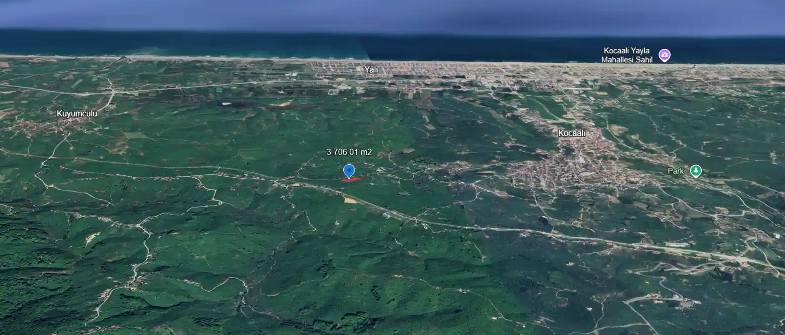 Sakarya Kocaali Karşı Mahalle'de Deniz Manzaralı 3.706 m² Satılık Fındık Bahçesi - Görsel 1