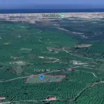 Sakarya Kocaali Karşı Mahalle'de 3.132 m² Satılık Verimli Fındık Bahçesi