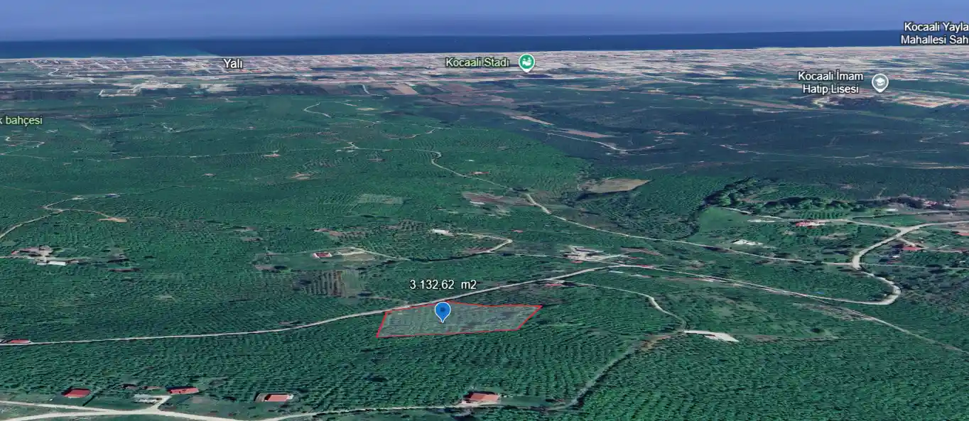 Sakarya Kocaali Karşı Mahalle'de 3.132 m² Satılık Verimli Fındık Bahçesi - Görsel 1