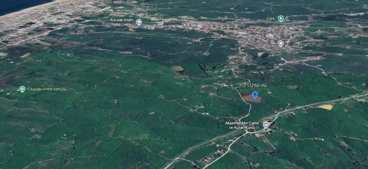 Sakarya Kocaali Karşı Mahalle'de 3.132 m² Satılık Verimli Fındık Bahçesi - Görsel 2