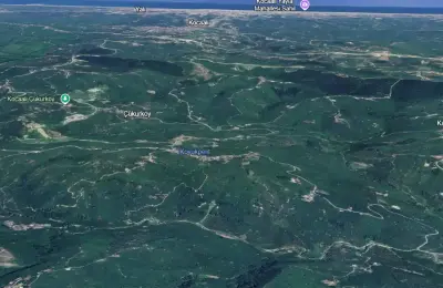 Sakarya Kocaali Koğutpelit'te 9 Dönüm Satılık Fındık Bahçesi ve 2 Müstakil Ev