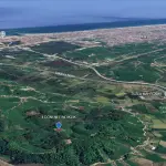 Sakarya Karasu Tuzla’da 4.042 m² Fındıklık Satılık – Stratejik Konumda Yatırım Fırsatı