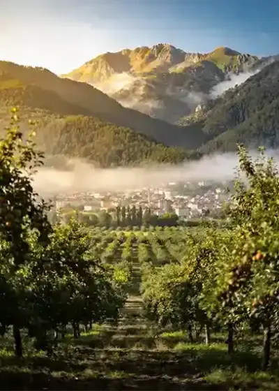 Karapürçek