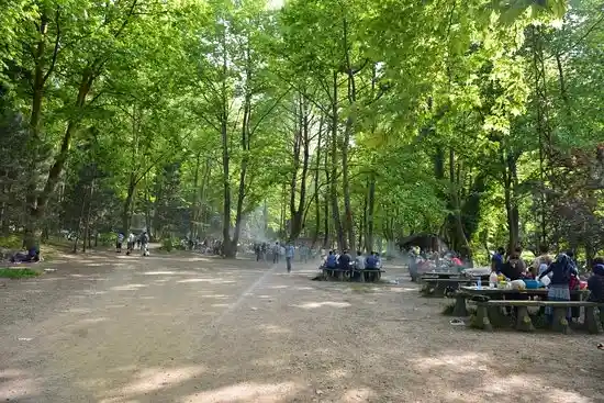 maden-deresi-piknik-alani